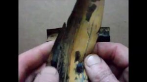 Сколько может прослужить капельная лента