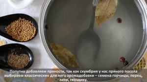 Малосольная скумбрия по домашнему за 12 часов!