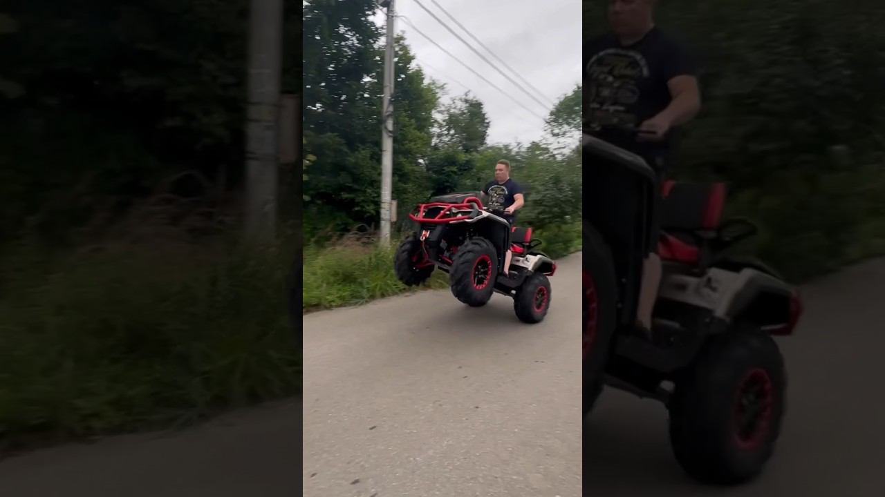 шлеп смотреть онлайн