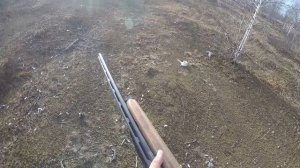 Охота на куропатку с подхода