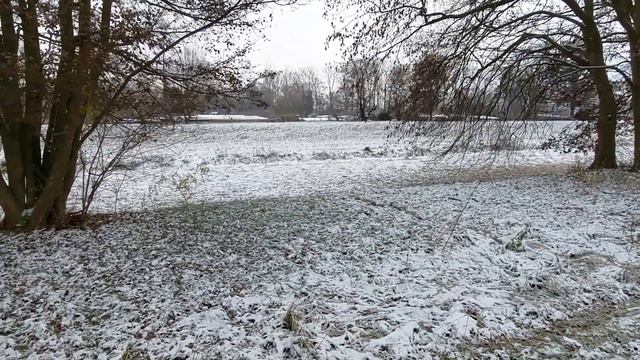 Николаев сегодня. СРОЧНО! СЕЙЧАС СТАЛО ИЗВЕСТНО! Новости Украина Польша смотреть онлайн