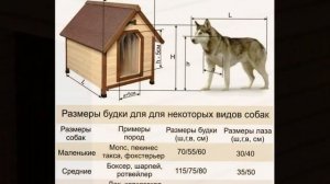 Теплая и оригинальная будка для собаки