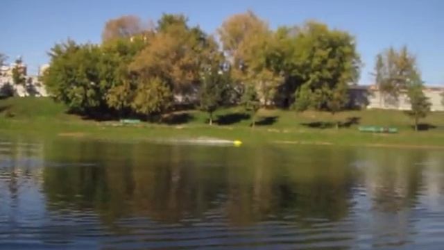 Гидра обыкновенная.Североамериканская. смотреть онлайн