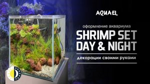 Оформление SHRIMP SET DAY&NIGHT 20 л