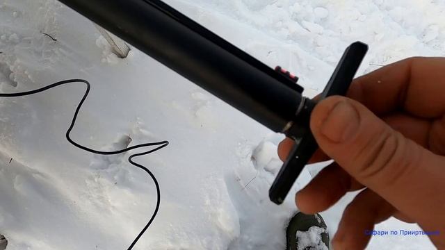 АТА ARMS NEO 12 против BENELLI COMFORT. Тест патронами АЗОТ ПРАКТИК с дробью № 4. смотреть онлайн