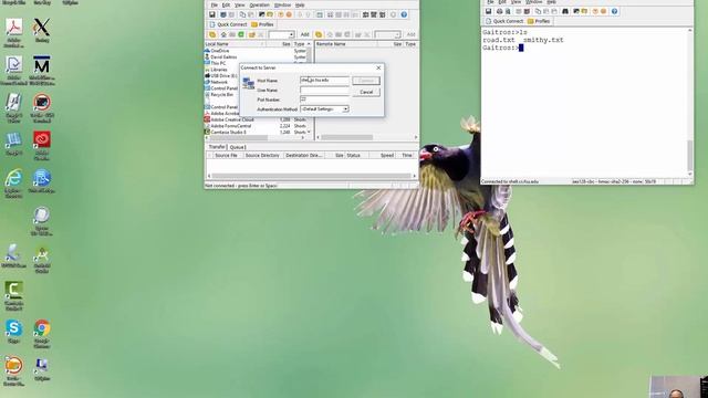 Tectia Secure File Transfers смотреть онлайн