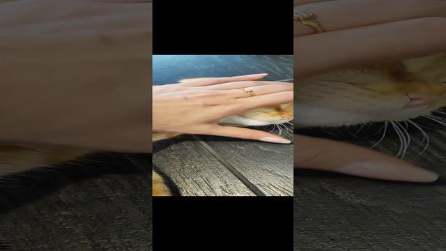 У меня только 3 руки✋🖐👋😅😃👍