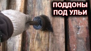 Поддоны под ульи.