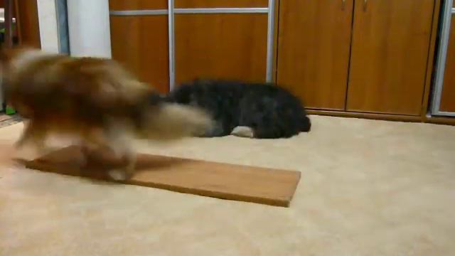 Смайл "цель" - 13 мес. смотреть онлайн