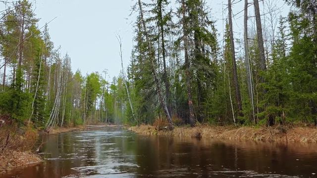 «День проходит за днем», исполняют О. Яворский и Э. Яворская (КАП «Седьмой материк»)