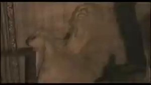 ЮЖНЫЙ ЦЕНТРАЛ 54  Звезда