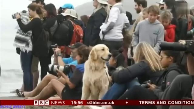 ОТБОРНЫЕ ПРИКОЛЫ | ЛУЧШИЕ РУССКИЕ ШУТКИ |БОЛЬШАЯ ПОДБОРКА ВАЙНОВ | 2019 год смотреть онлайн