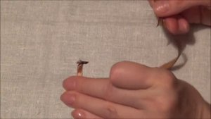 Вышивка лентами для начинающих. Как вдеть ленту в иголку.