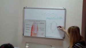 Курс маникюра, строение ногтей, пошаговое обучение урок 1.