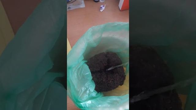 Подготовка кокосового субстрата для применения. Самый лёгкий,чистый и быстрый способ.