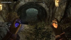 Lets Play Elder Scrolls V Skyrim [Blind] [1152p] #098 - Bärenjagt