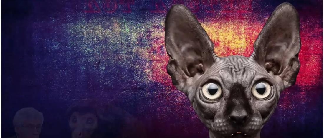 "коТ доступа" с Котом Костяном...Вливаемся! смотреть онлайн