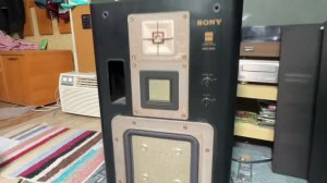Sony apm-66 es