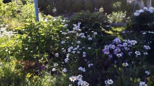 САД ОГОРОД СВОИМИ РУКАМИ 2021