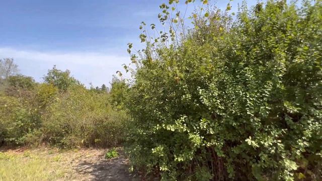 Дом на Юге/ 2018 года, с шикарным видом на горы!/ есть Сад, Бассейн/ ЦЕНА 4,5 млн.₽ смотреть онлайн