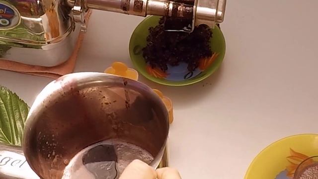 Эксперименты с шелковицей  |   Сок из шелковицы  |  Фруктовый лед из шелковицы