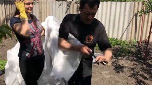 Обзор парника Дачник