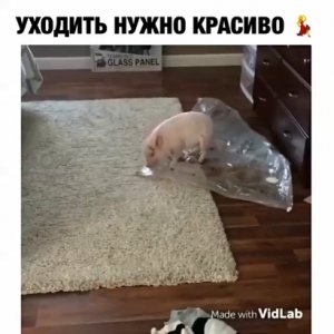 Уходить надо красиво 