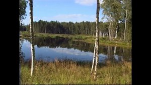 "Как сейчас охотятся в Латвии. Охота на кабана". Видеоприложение №4 часть 1 к журналу «Сафари»