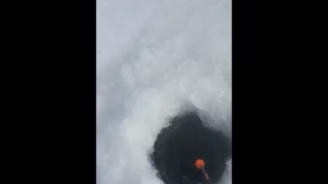 На острове 21 01 2021 смотреть онлайн