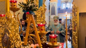 Божественная Литургия. Свирский монастырь. (полное видео)