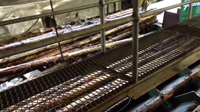 A E Gisbon & Sons Log Docker Infeed Sawmilling Equipment & Machinery смотреть онлайн