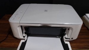 Canon Pixma MG3600 Light Flashing 2 Times "Error Solved".