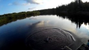 Рыбалка на хариуса в Коми