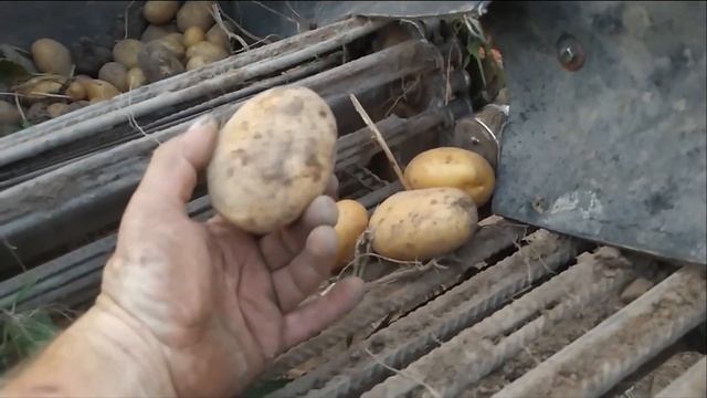 Самодельная картофелекопалка испытания после доработки