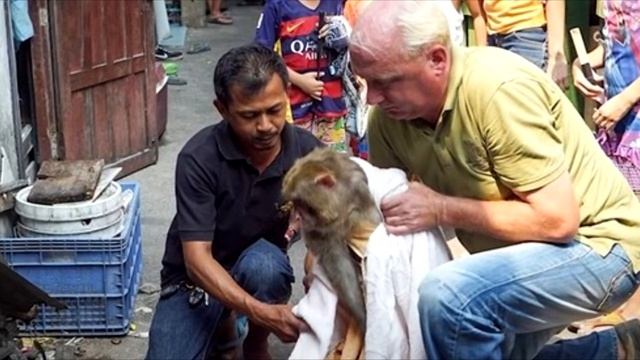 25 лет его держали в этой клетке. Вот что было, когда его освободили! смотреть онлайн