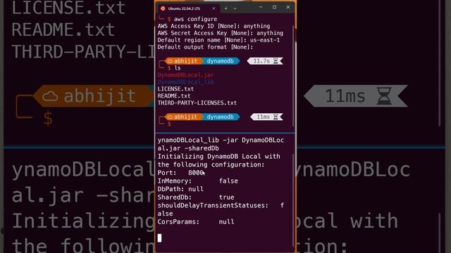 Setup Amazon DynamoDB locally on computer