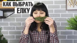 КАК ПРАВИЛЬНО ВЫБРАТЬ ЁЛКУ ✔️Несколько простых правил, как выбрать живую ёлку для Нового года