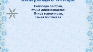 Зимующие птицы  Викторина