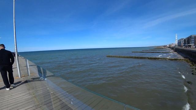 ЗЕЛЕНОГРАДСК 2022 / В ПОИСКАХ ЯНТАРЯ смотреть онлайн