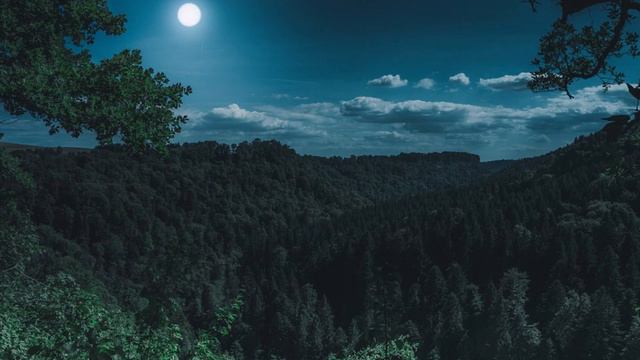 Лунная соната смотреть онлайн