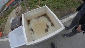 двухдневная поездка из Шанхая в Сучжоу