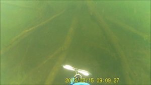 Подводная охота в нижегородской области