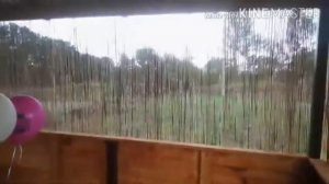 Стол и лавочки из горбыля