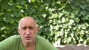 Выдаём Калия Монофосфат (КН2PO4) по листу. Подкормка и профилактика.