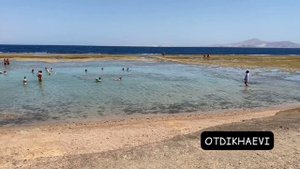 Nubian island 5* / Nubian village 5* (Шарм ель Шейх, Египет) - свежий обзор, сентябрь 2021