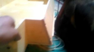 ящик в БАГАЖНИК  НИВЫ