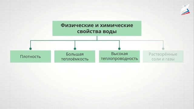 Организм и окружающая среда. Экологические факторы