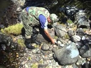 Саянский дневник