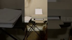 Windows 95 Printing on a EPSON Stylus Color 600