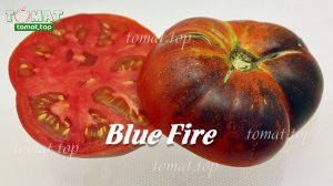 Томат Blue Fire.Красота важнее вкуса Обзор, отзыв о сорте Blue Fire. Характеристики сорта Blue Fire